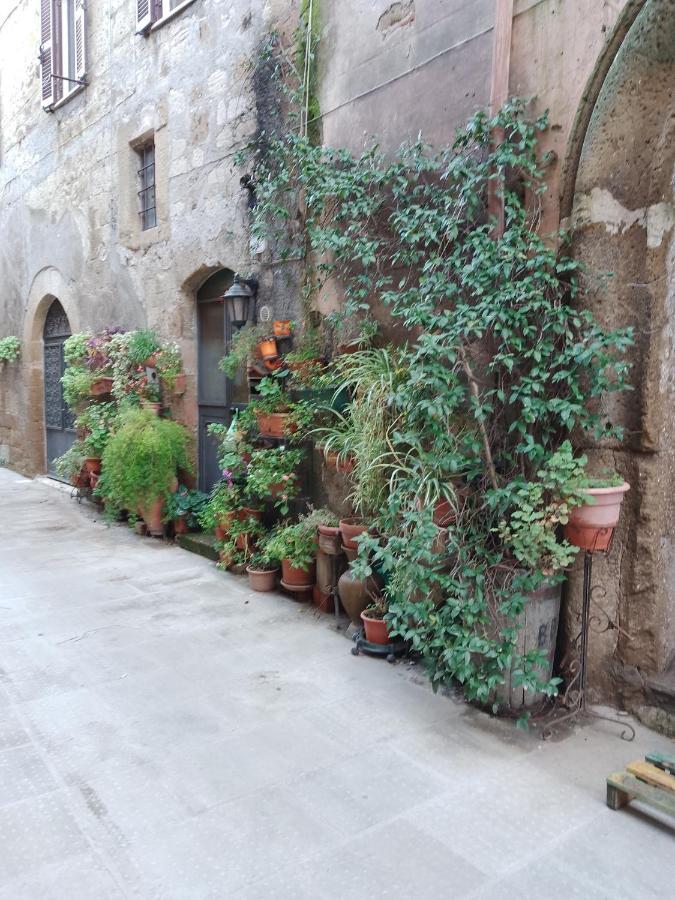La Casa Di Sally 皮蒂利亚诺 外观 照片